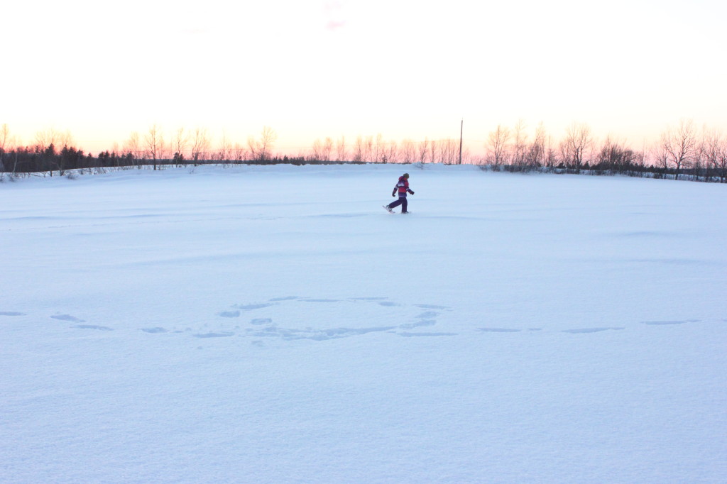 snowshoe