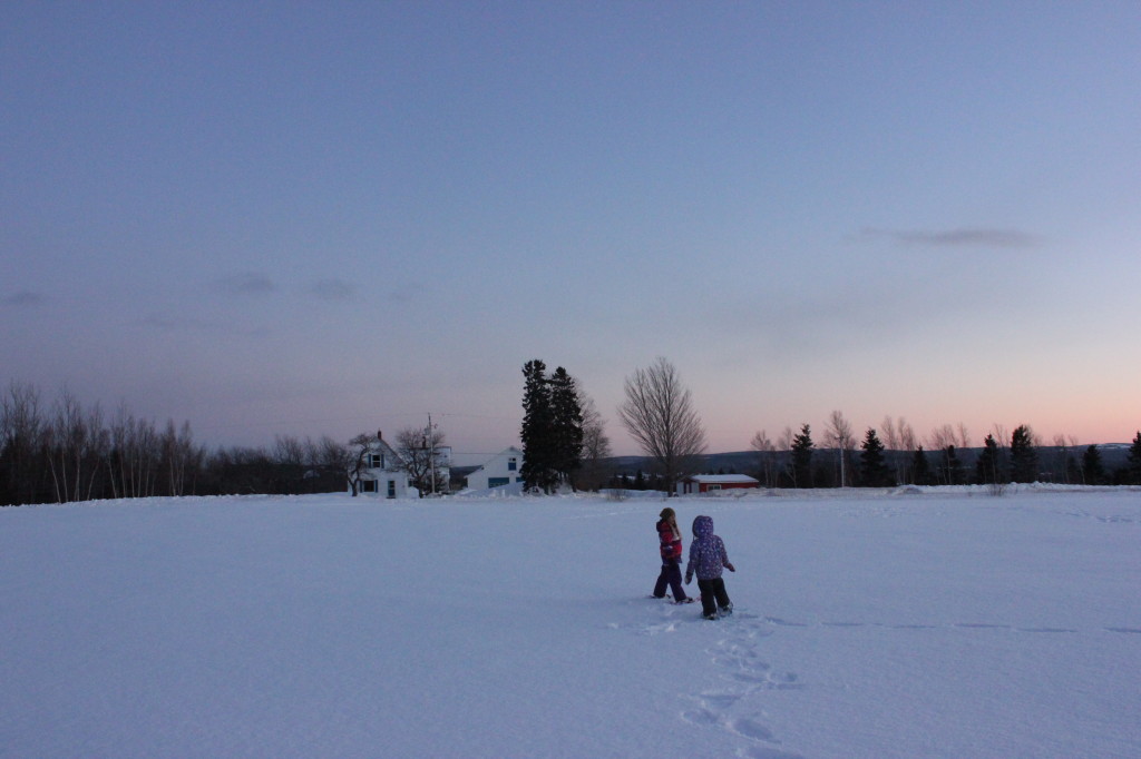 snowshoe