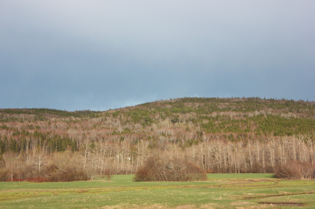 Cape Breton Escape