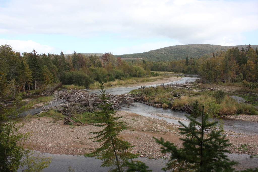 Cape Breton