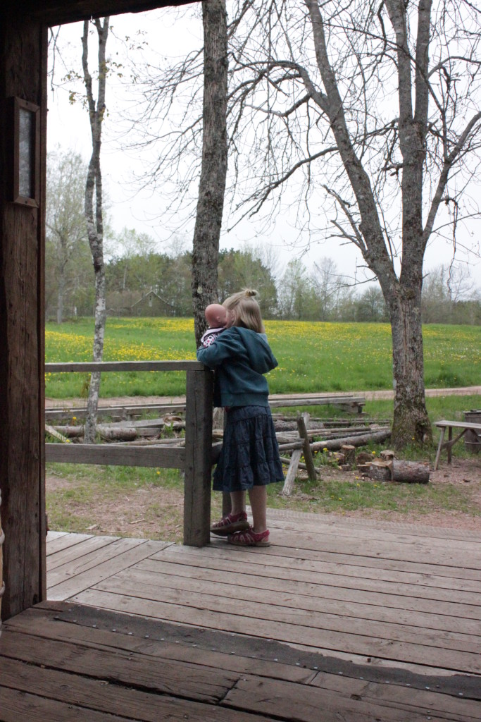 Ross Farm Museum