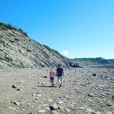 Joggins Fossil Centre